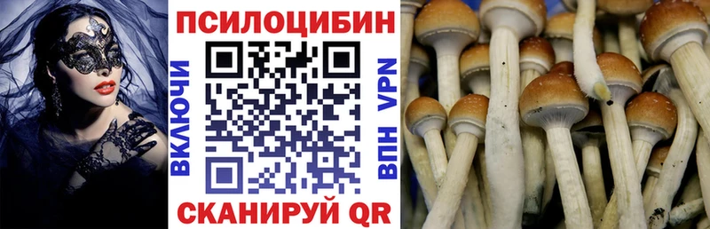 Купить Дно Галлюциногенные грибы мухоморы